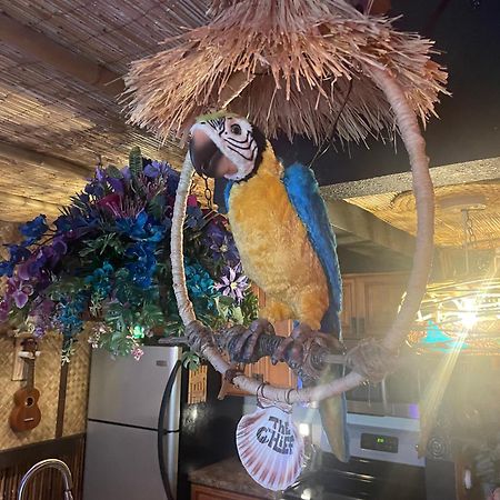The Kondo Tiki แทมปา ภายนอก รูปภาพ